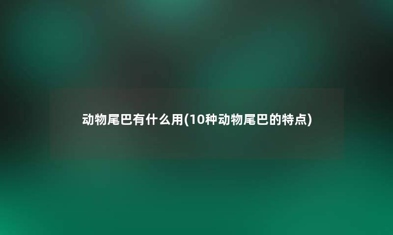 动物尾巴有什么用(10种动物尾巴的特点)