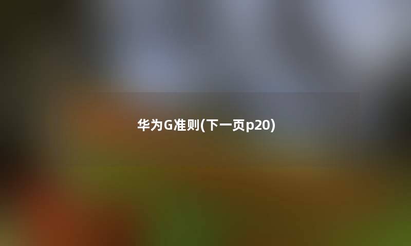 华为G准则(下一页p20)