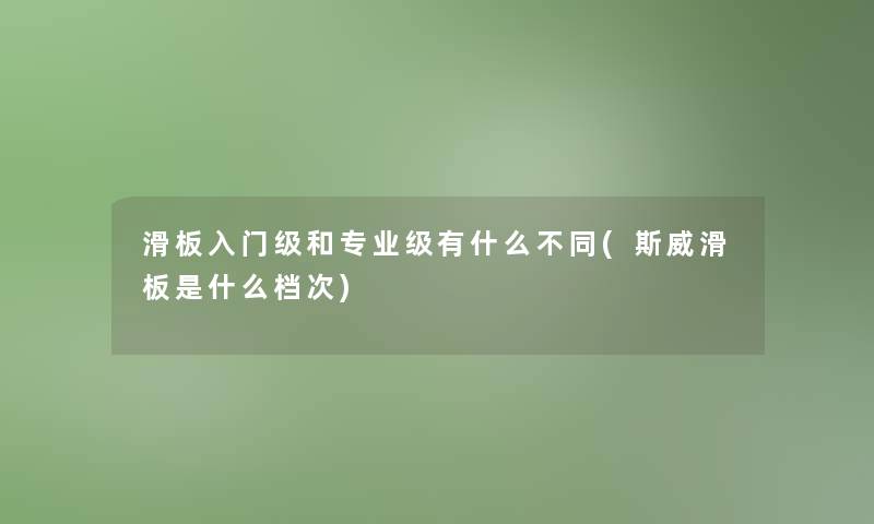 滑板入门级和专业级有什么不同(斯威滑板是什么档次)
