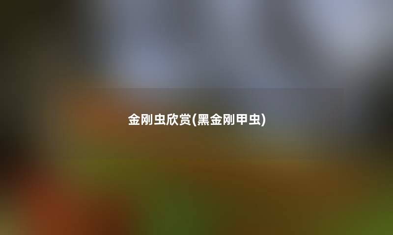 金刚虫欣赏(黑金刚甲虫)