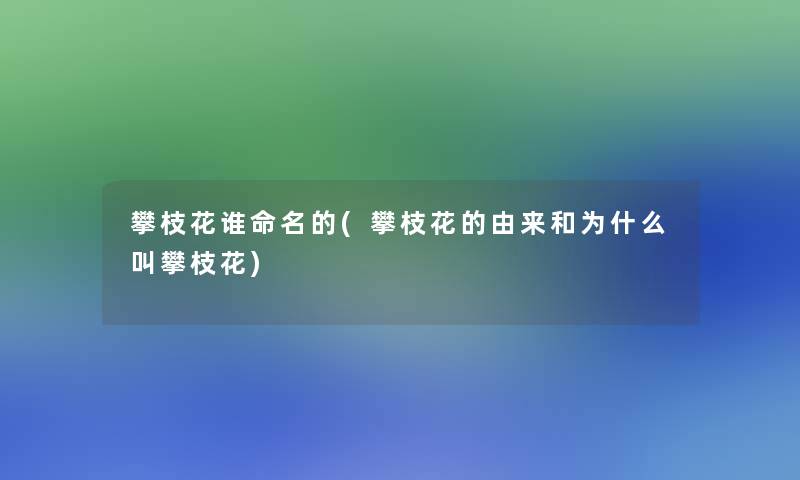 攀枝花谁命名的(攀枝花的由来和为什么叫攀枝花)