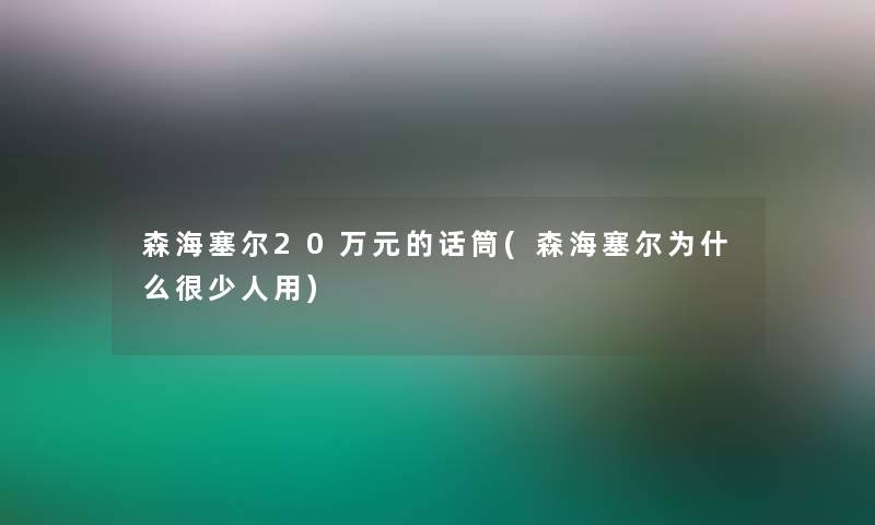 森海塞尔20万元的话筒(森海塞尔为什么很少人用)