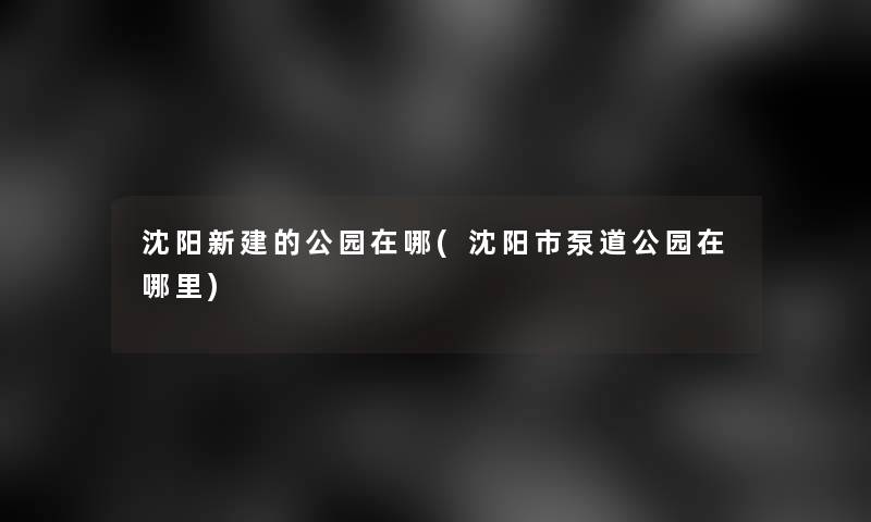 沈阳新建的公园在哪(沈阳市泵道公园在哪里)