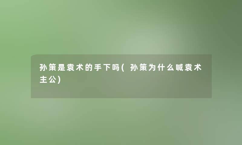 孙策是袁术的手下吗(孙策为什么喊袁术主公)