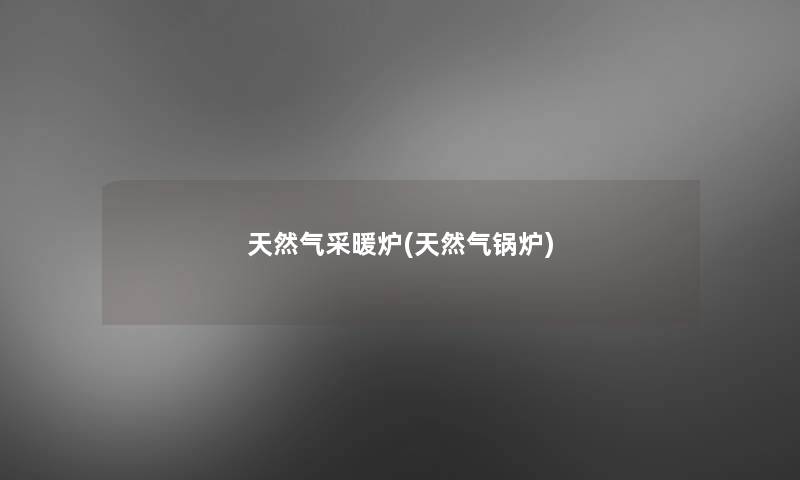 天然气采暖炉(天然气锅炉)