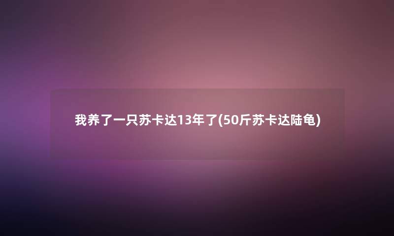 我养了一只苏卡达13年了(50斤苏卡达陆龟)