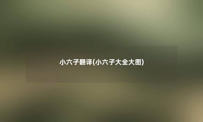小六子翻译(小六子大全大图)