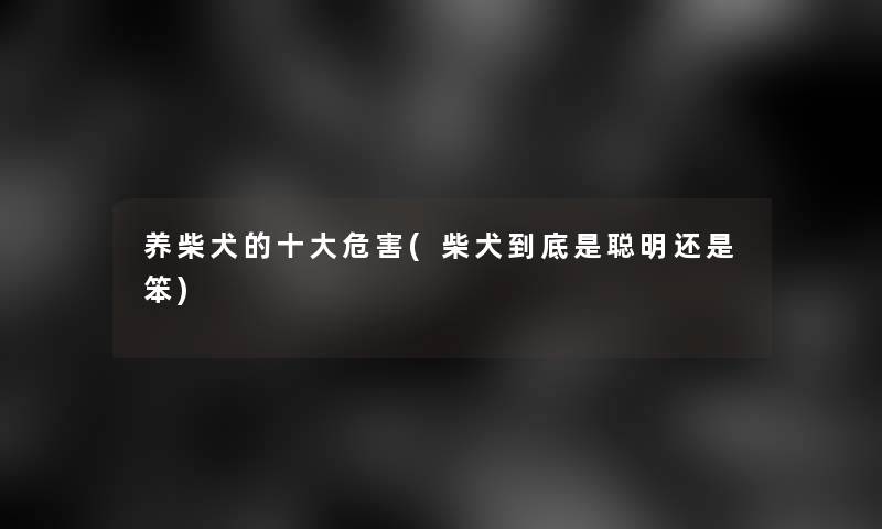 养柴犬的一些危害(柴犬到底是聪明还是笨)