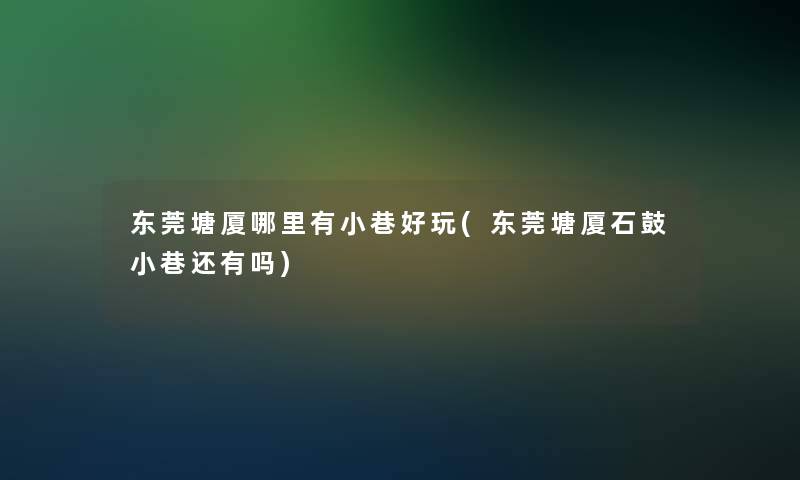 东莞塘厦哪里有小巷好玩(东莞塘厦石鼓小巷还有吗)