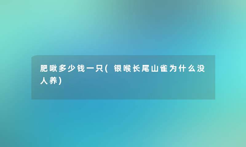 肥啾多少钱一只(银喉长尾山雀为什么没人养)