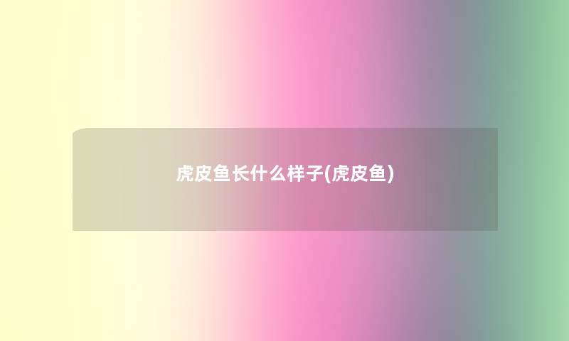 虎皮鱼长什么样子(虎皮鱼)