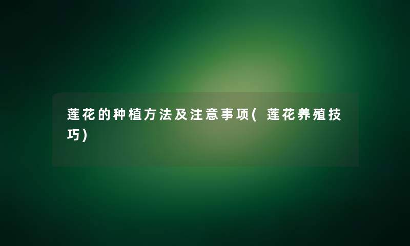 莲花的种植方法及注意事项(莲花养殖技巧)