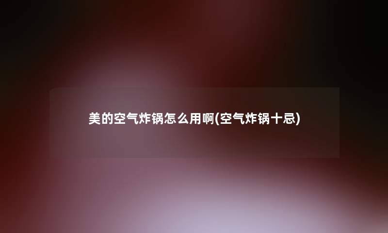 美的空气炸锅怎么用啊(空气炸锅十忌)