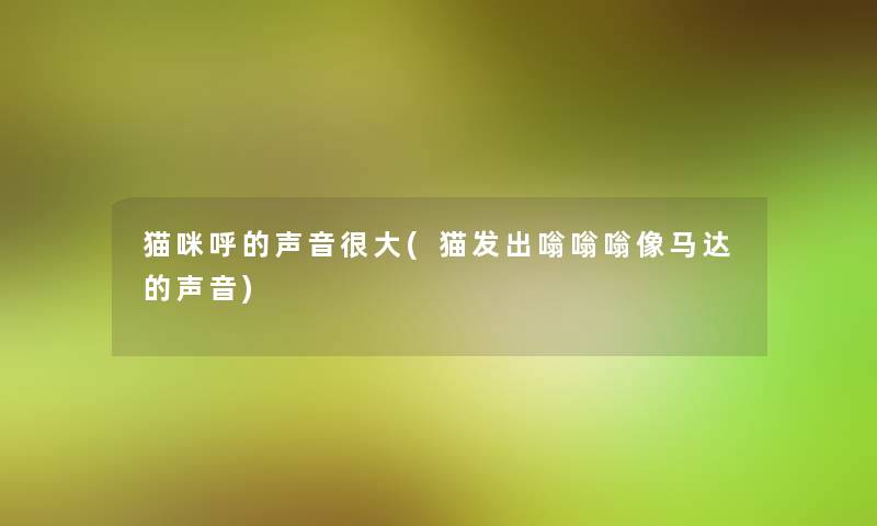 猫咪呼的声音很大(猫发出嗡嗡嗡像马达的声音)
