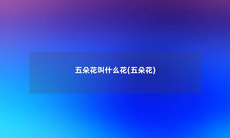 五朵花叫什么花(五朵花)
