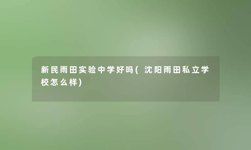 新民雨田实验中学好吗(沈阳雨田私立学校怎么样)