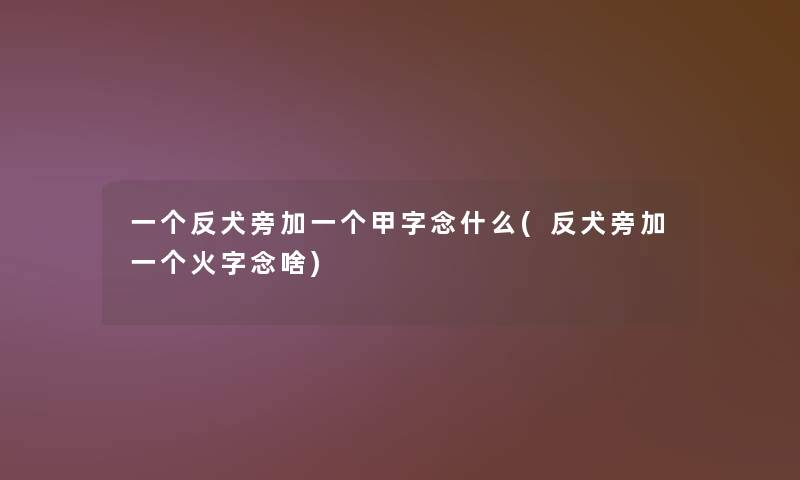一个反犬旁加一个甲字念什么(反犬旁加一个火字念啥)