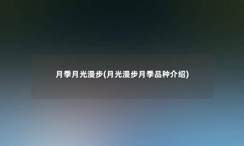 月季月光漫步(月光漫步月季品种介绍)