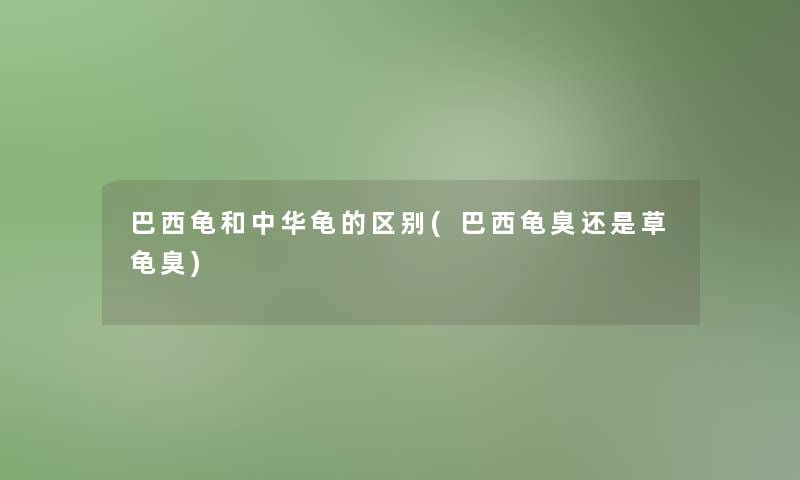 巴西龟和中华龟的区别(巴西龟臭还是草龟臭)