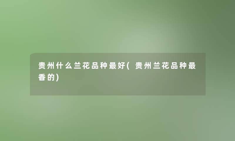 贵州什么兰花品种好(贵州兰花品种香的)