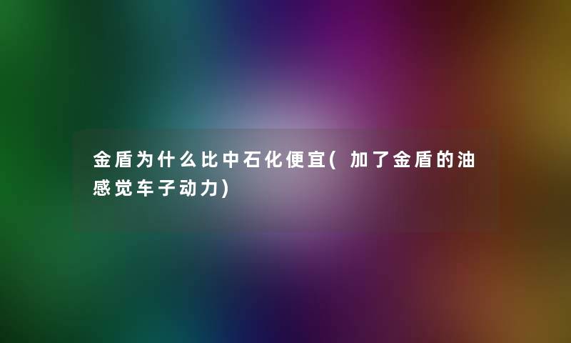 金盾为什么比中石化便宜(加了金盾的油感觉车子动力)