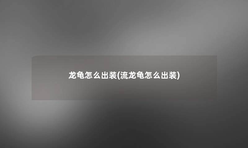 龙龟怎么出装(流龙龟怎么出装)