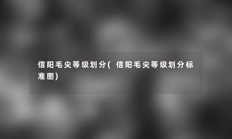 信阳毛尖等级划分(信阳毛尖等级划分标准图)
