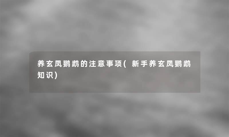养玄凤鹦鹉的注意事项(新手养玄凤鹦鹉知识)