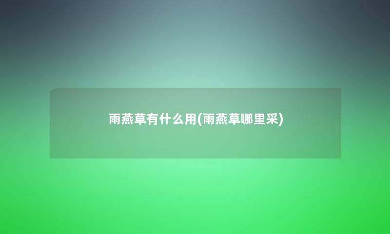 雨燕草有什么用(雨燕草哪里采)
