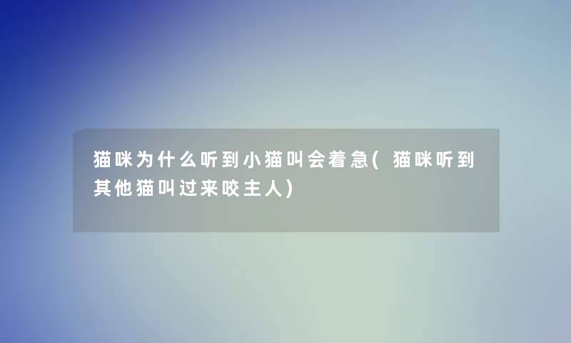 猫咪为什么听到小猫叫会着急(猫咪听到其他猫叫过来咬主人)