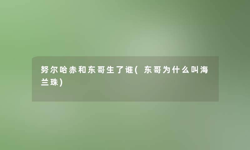 努尔哈赤和东哥生了谁(东哥为什么叫海兰珠)