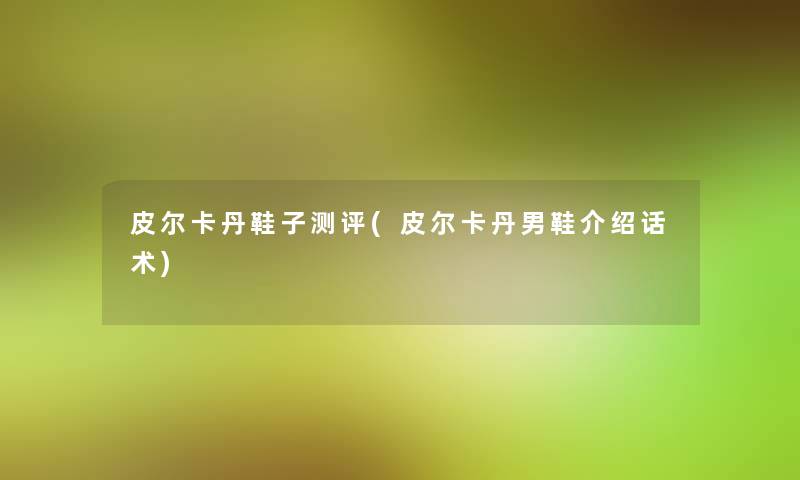 皮尔卡丹鞋子测评(皮尔卡丹男鞋介绍话术)