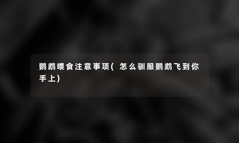 鹦鹉喂食事项(怎么驯服鹦鹉飞到你手上)