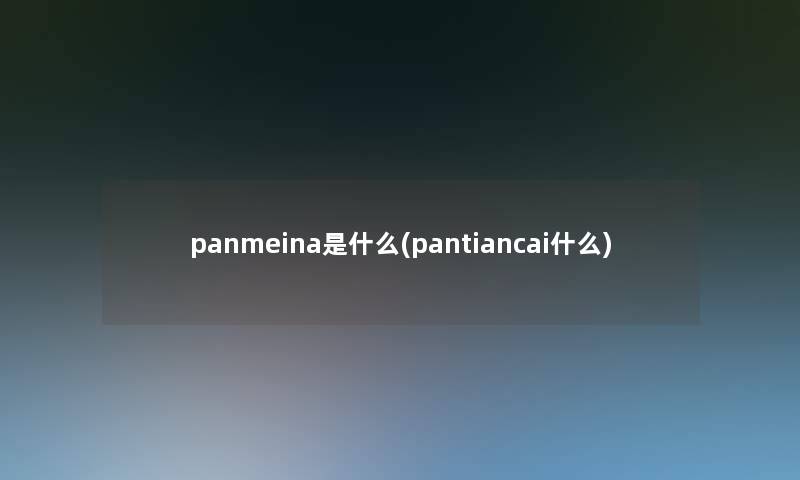 panmeina是什么(pantiancai什么)