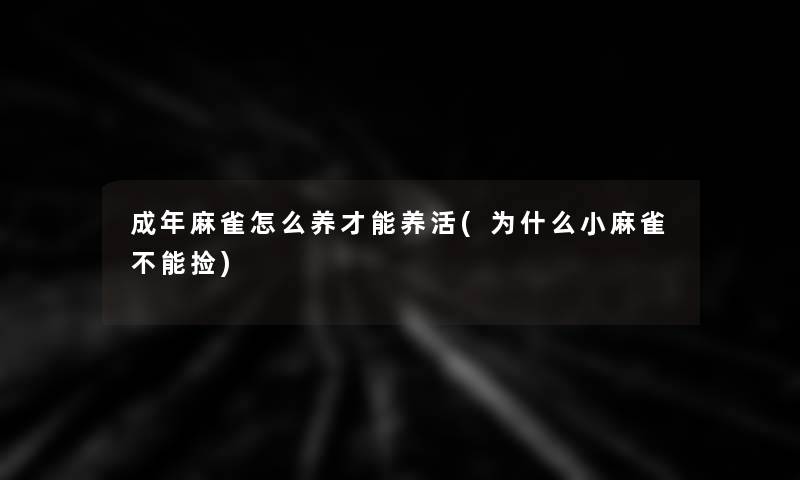 成年麻雀怎么养才能养活(为什么小麻雀不能捡)