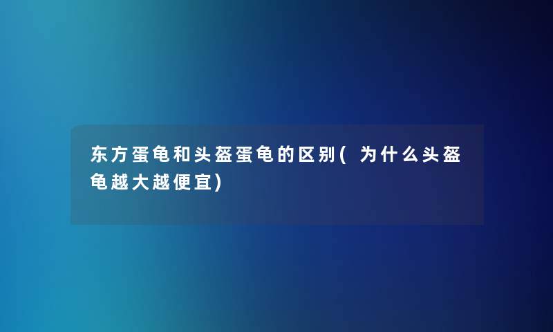 东方蛋龟和头盔蛋龟的区别(为什么头盔龟越大越便宜)