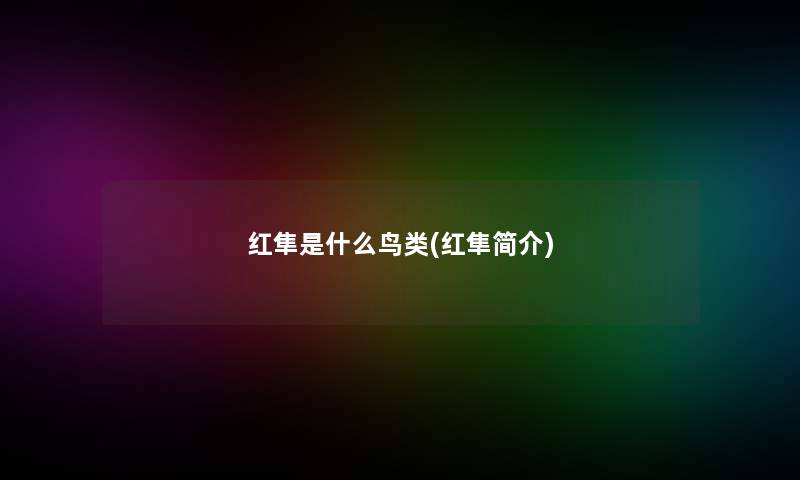 红隼是什么鸟类(红隼简介)