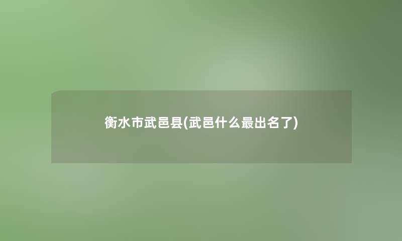 衡水市武邑县(武邑什么出名了)