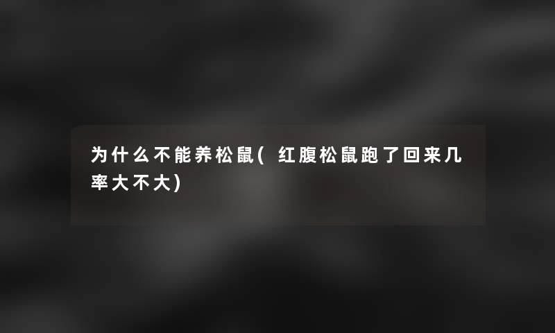 为什么不能养松鼠(红腹松鼠跑了回来几率大不大)