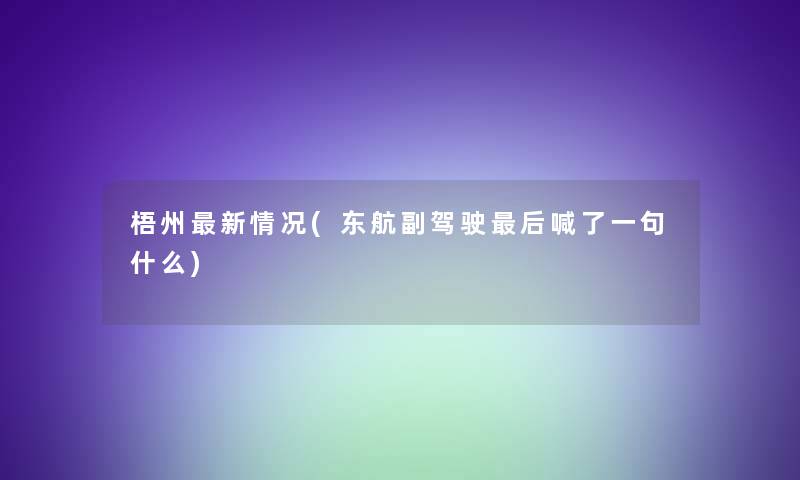 梧州新情况(东航副驾驶后喊了一句什么)