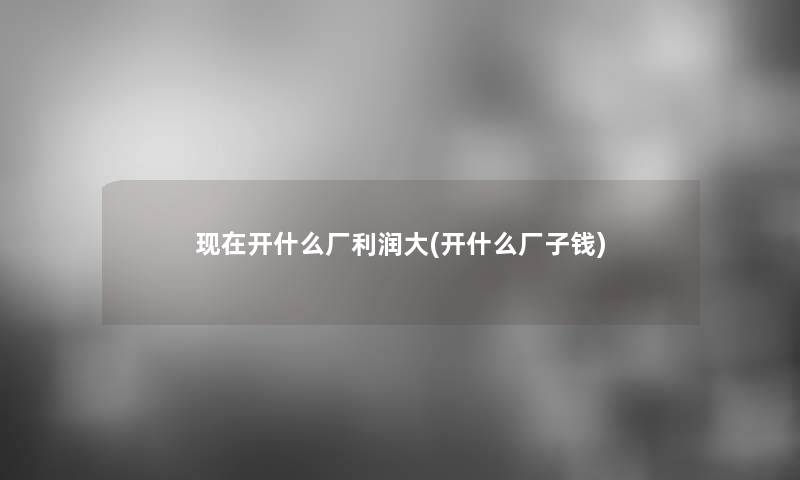 开什么厂利润大(开什么厂子钱)
