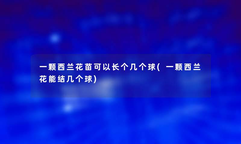 一颗西兰花苗可以长个几个球(一颗西兰花能结几个球)