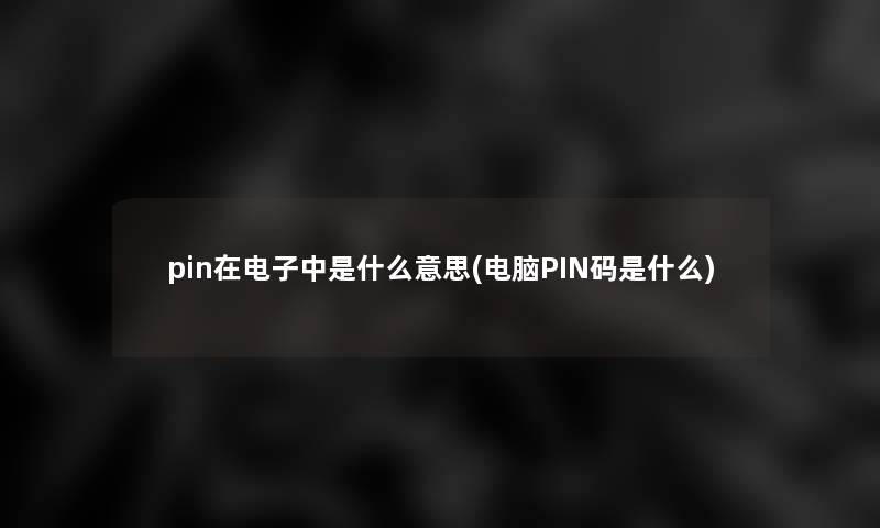 pin在电子中是什么意思(电脑PIN码是什么)