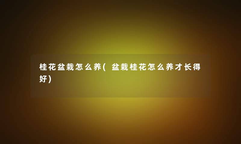 桂花盆栽怎么养(盆栽桂花怎么养才长得好)
