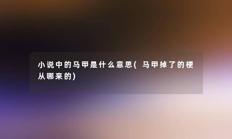 小说中的马甲是什么意思(马甲掉了的梗从哪来的)