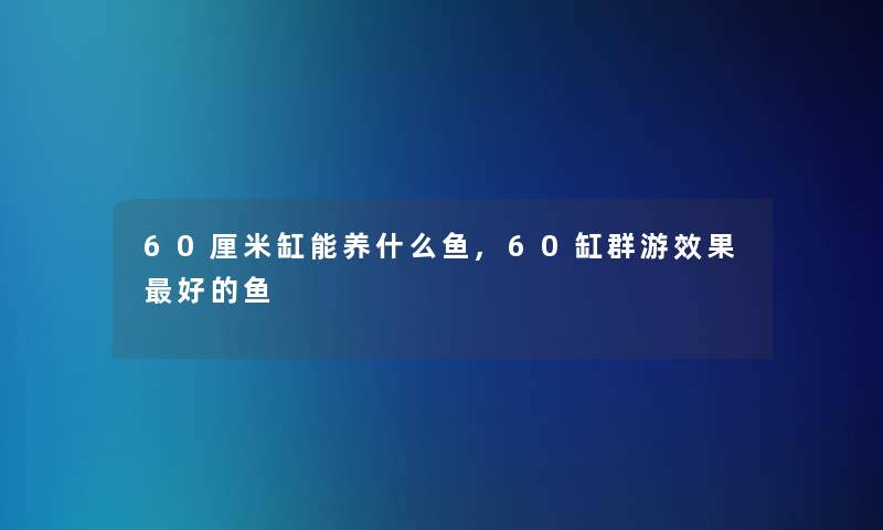 60厘米缸能养什么鱼,60缸群游效果好的鱼
