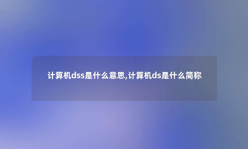 计算机dss是什么意思,计算机ds是什么简称