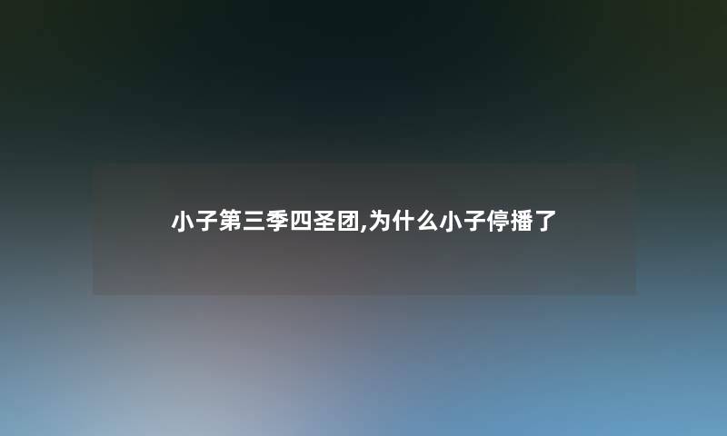 小子第三季四圣团,为什么小子停播了